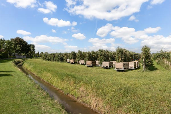 Medium property photo - Papekamp 5, 4051 DM Ochten
